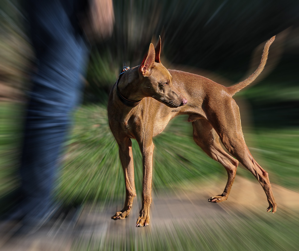 ZZP in Aarburg vom 12. April 2025